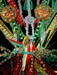 king_queen_x-22