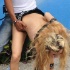 cayman_carnival_may09_pt2-011