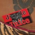 dc_carnival_2009-167