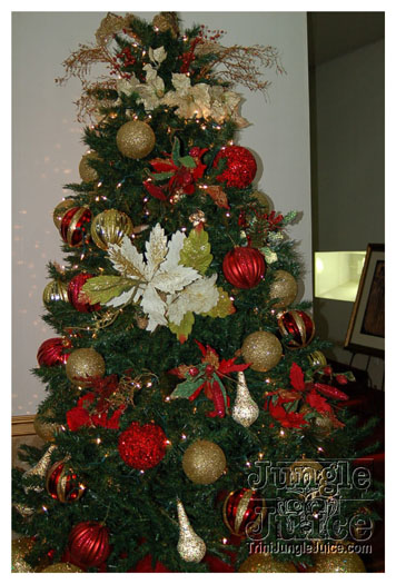 hangover_dec11-023