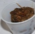 mania_2010-144