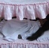 1-devon_house-018