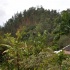 3-blue_mountain-006