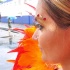 st_lucia_carnival_monday_2010-122