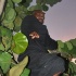 spicemas_jouvert_2011_pt2-055