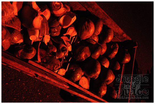 bacchanal_ja_roadmarch_2011_pt3-197