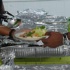 greenlight_jul3-001