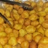 radica_2011-003