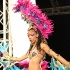 spice_band_launch_2011-124