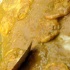 bishops_2012-053