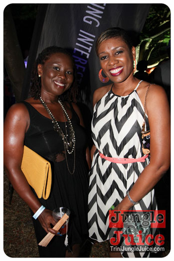 bliss_2013_pt2-071