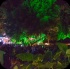 lush_aug1-141