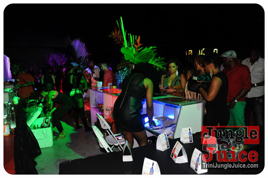 tan_ta_na_2013-063