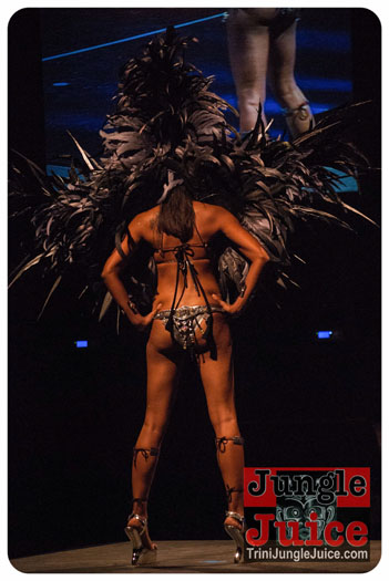 island_people_2014_band_launch-104