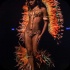island_people_2014_band_launch-142