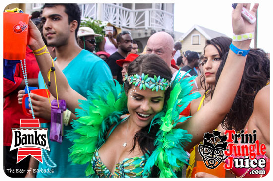 kadooment_day_2014_pt3-145