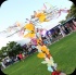 flutter_2014_pt1-017